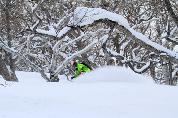 ニセコヒラフパウダーガイド3月15日