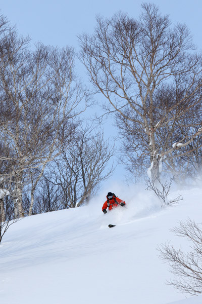 niseko_backcountry_powder_004