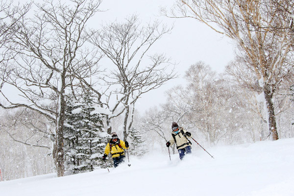 niseko_backcountry_powder_036