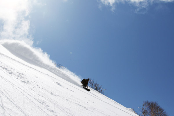 niseko_BC_GUIDE(10)