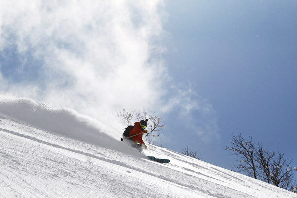 niseko_BC_GUIDE(13)