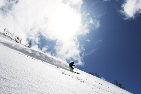 niseko_BC_GUIDE(8)