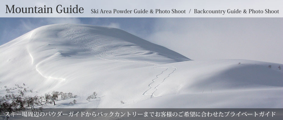 ガイドツアーについて